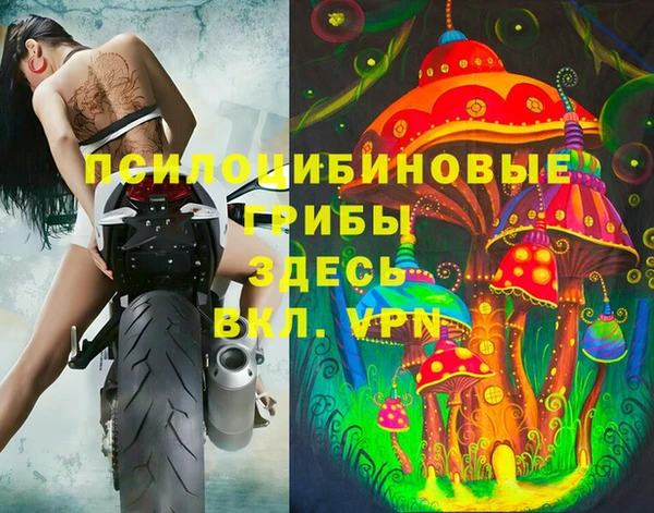 таблы Бутурлиновка
