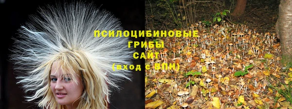 гашик Лагань