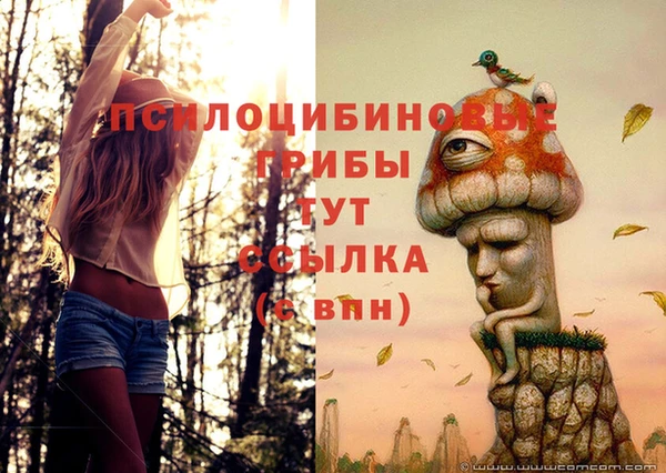 СК Липки