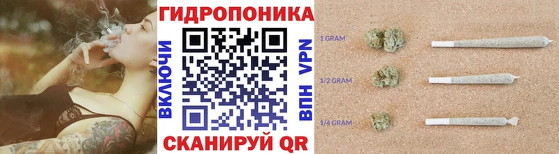 наркотики  Мариинский Посад  Шишки марихуана сатива 